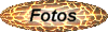 fotos.gif